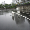 ○大雨と強風の中、狂う・・