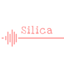 Silica's activity record