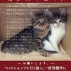 ねこちゃん、ワンちゃんの命