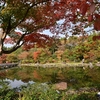 🍂昭和記念公園に行ってきました😊 その② 紅葉の日本庭園