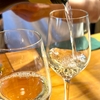 【旅先でのワインは最高🍷】電気グルーヴ・ピエール瀧 さん、ハンガリー・トカイでワインをテイスティング❣  #ユアレコ・シーズン７は欧州の超美しい国「ハンガリー」!?≪めちゃ推しYouTube≫