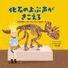 小学3年生の読書感想文の進め方　「化石のよぶ声がきこえる」