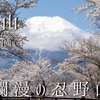 【4月】杓子山 ：忍野八海より登る -春爛漫の忍野山行-