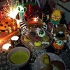 ねこハウスハロウィンディナー♪───Ｏ（≧∇≦）Ｏ────♪