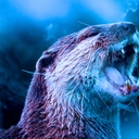 BOYS BE すこやか