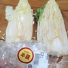 季節外れの白菜漬け