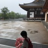 雨の三十三間堂