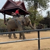 バンコク6日目。象と植物園‥‥