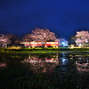 桜④　飯給駅2