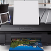 Epson Stylus Photo R1800 Ink Jet Printer - Photo - Printers