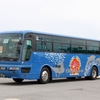 沖縄バス / 沖縄22き ・510