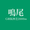 鳴尾記念（'17年）予想ーーインベタ阪神内回りを立ち回って