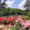 京都府立植物園　～初夏の花々が咲く市民憩いの園へ