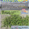 御前浜公園｜2026年6月7日（日）に「オオフタバムグラ駆除大作戦」が開催されます