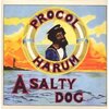 プロコル・ハルム『A Salty Dog』