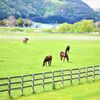 【ジャスタウェイ】種牡馬の特徴 牡馬は中長距離、牝馬は短距離～マイルが中心！？(2023,3,16更新)