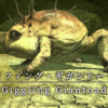 【FF14】 モンスター図鑑 No.169「ラフィング･ギガントード(Giggling Giantoad)」