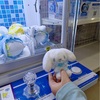 あいぼん、UFOキャッチャーをする