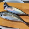 美味しいものをいただく