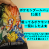 載ってるポケモンを明記・プールバッグ13選！これで子どもが喜ぶポケモンアイテムを買える！