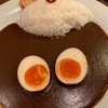 カレー納め