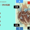 【コラム-124】番外編：2022年度の看護国試対策 循環器編(しかないよ💦)　特別講義 スライド集(その3) 心臓の弁膜症