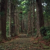 熊野古道旅行記：古来から変わらぬ森に続く石畳の道 *