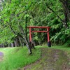 木津志の城野神社、祭られているのは源為朝の奥方と伝わる