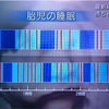 ②夜泣き、子どもが寝ないで困ってるママへ