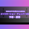 「WWEのPPVを見るならABEMA」エリミネーション･チェンバー2024 予想・感想