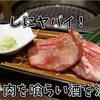牛角　バークレーズコート店