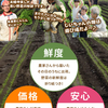 毎日の健康に！無農薬栽培の野菜☆くだもの☆食品の通販（NO.119