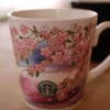 スタバの桜マグ