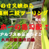 春の寸又峡から遠州二股ツーリング　其の⑥　 日本一の急勾配　南アルプスあぷとライン　 大井川鉄道井川線　❣ ブログ＆動画