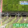  熊本・天草地方で早期米の田植え始まる   熊本 