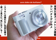 LUMIX DC-TZ99レビュー「スマホには無理」な超望遠コンデジを1年間使って分かった実力