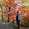 日本　背景は文殊山の紅葉