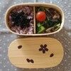 今日のお弁当2017/05/30