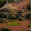 京都紅葉狩りの旅　５