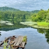 池の平池（山形県鶴岡）