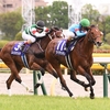 競馬初心者必見☆馬券予想🔥〜NHKマイルカップ〜今年は荒れる気配がしますが本命は2歳マイル王で‼️〜