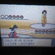 ハートゴールド カテゴリーの記事一覧 Haradaのポケモンブログ