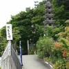 福岡県小郡市の如意輪寺、またの名を「かえる寺」の風鈴まつりへ行きました