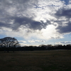 【写真いっぱいの写真日記】一人で歩く昭和記念公園、チャックとのお湯と食事