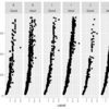 facet_gridで1軸に複数要素を指定する