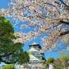 【大阪】『大阪城』桜