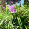 良い香り
