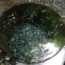 ブログ堀田耕平