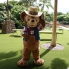 アウラニひとり旅（キャラクターグリーティング２） / Traveling Alone to Aulani, Disney Resort and Spa (Character Greeting 2)