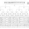 全国高校ラグビー大会組合せ決定